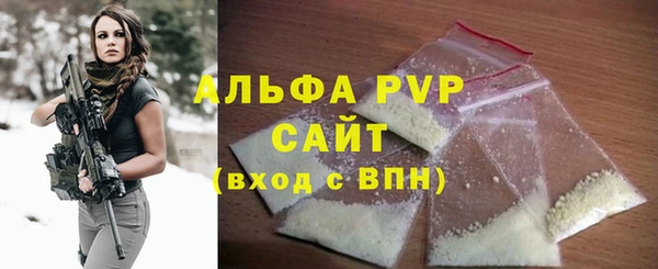 стаф Бородино