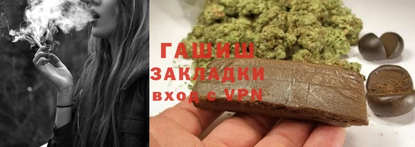 стаф Бородино