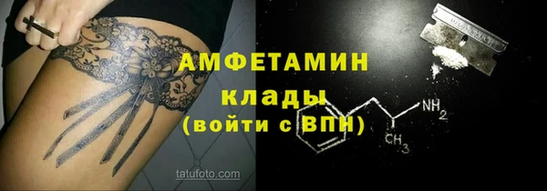 стаф Бородино