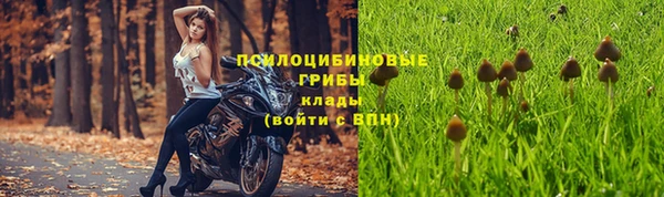 тгк Бугульма