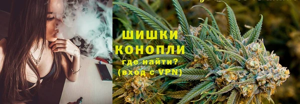 стаф Бородино