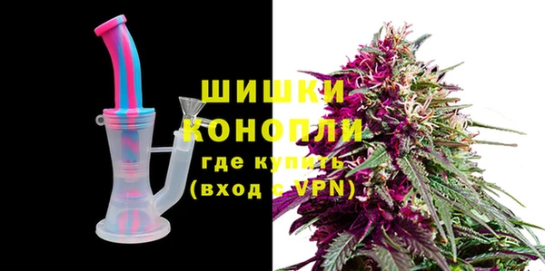 стаф Бородино