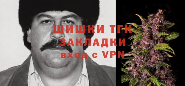стаф Бородино