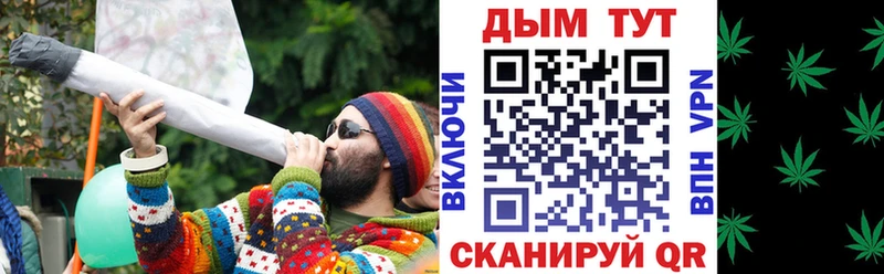 Конопля OG Kush  где найти   Новосокольники 